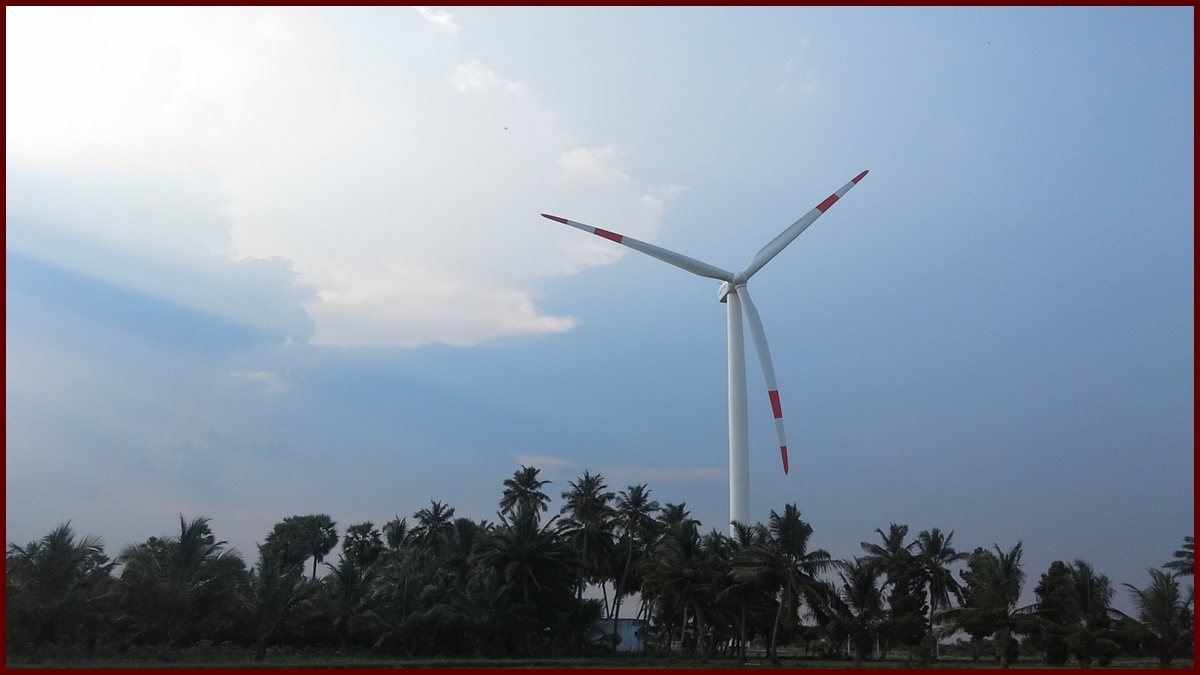 A Suzlon wind turbine standing above a line of palm trees, from Wikimedia Commons (2015); not a photo from the results day